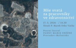 provodov_vacha